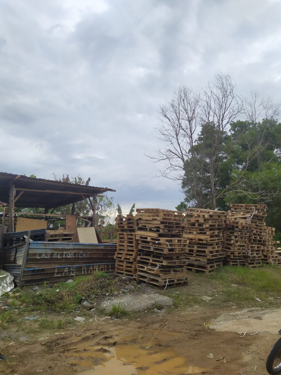 kayu palet bekas batam